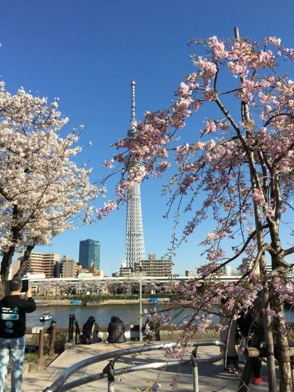 東京都 纳卡大雅旅馆酒店 外观 照片