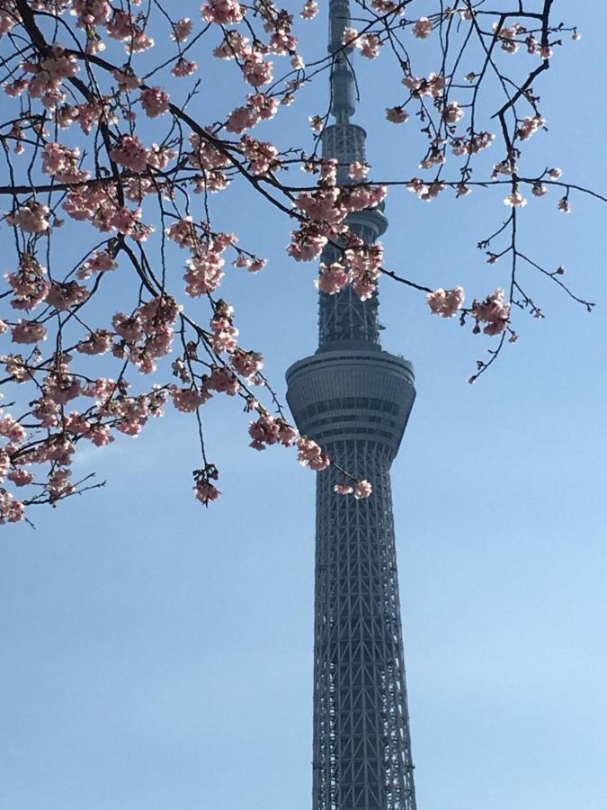 東京都 纳卡大雅旅馆酒店 外观 照片